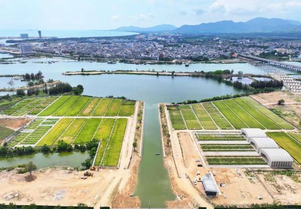 為鹽堿地安上“技術芯片”，托普云農(nóng)打造耐鹽堿水稻科研試驗基地建設解決方案