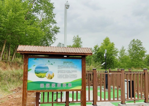 走進國家級油菜夏繁基地，感受科技賦能蓬勃動力